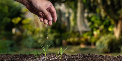 WhatsApp Görsel 2024-01-30 saat 18.04.20_e95c46d1