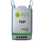 tsp
